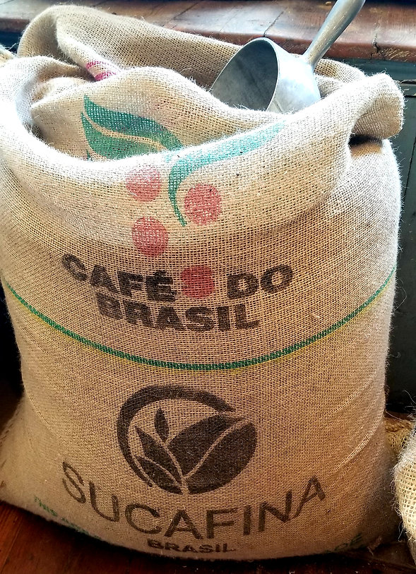 Brazil Cerrado